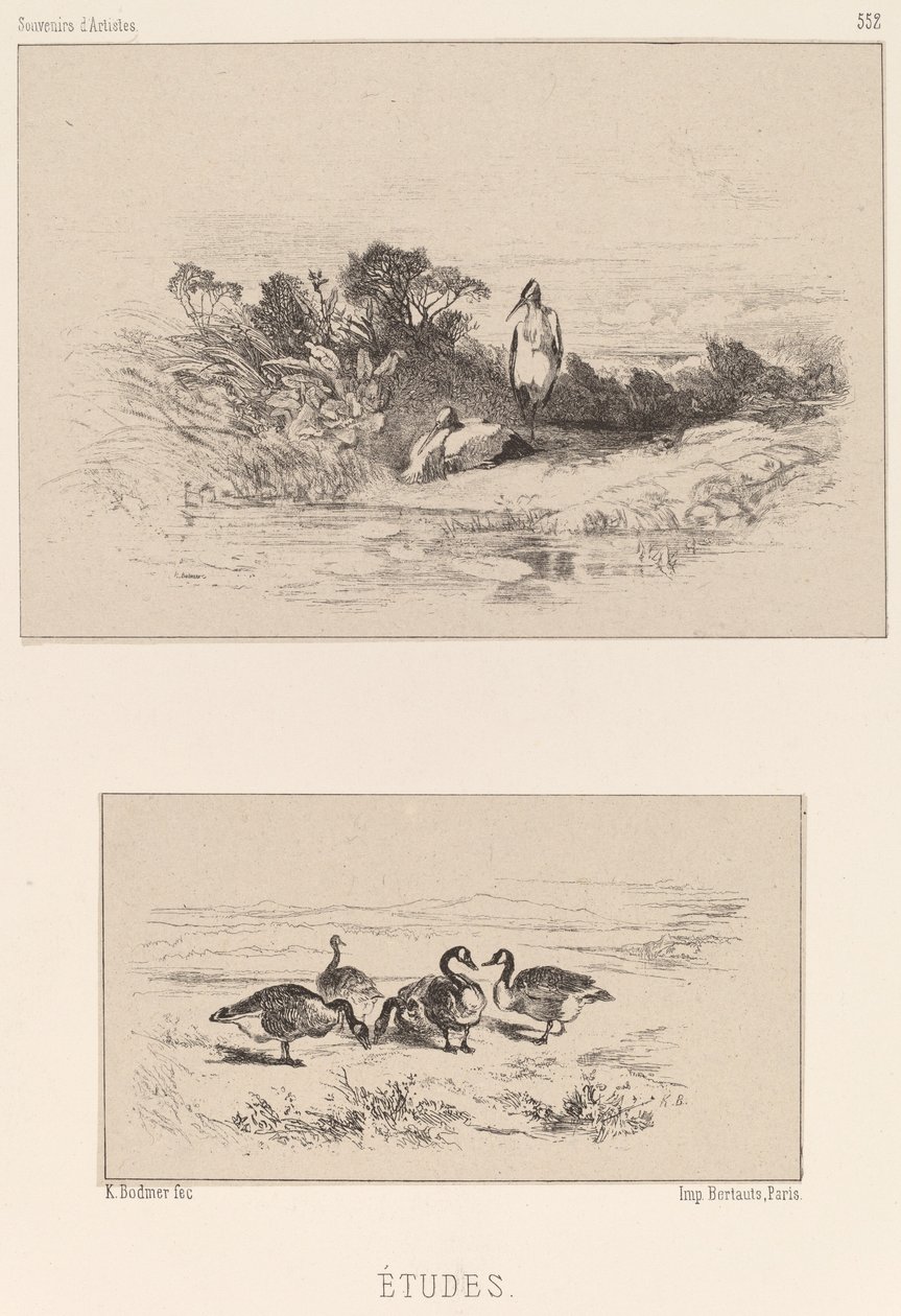 Studi da Karl Bodmer