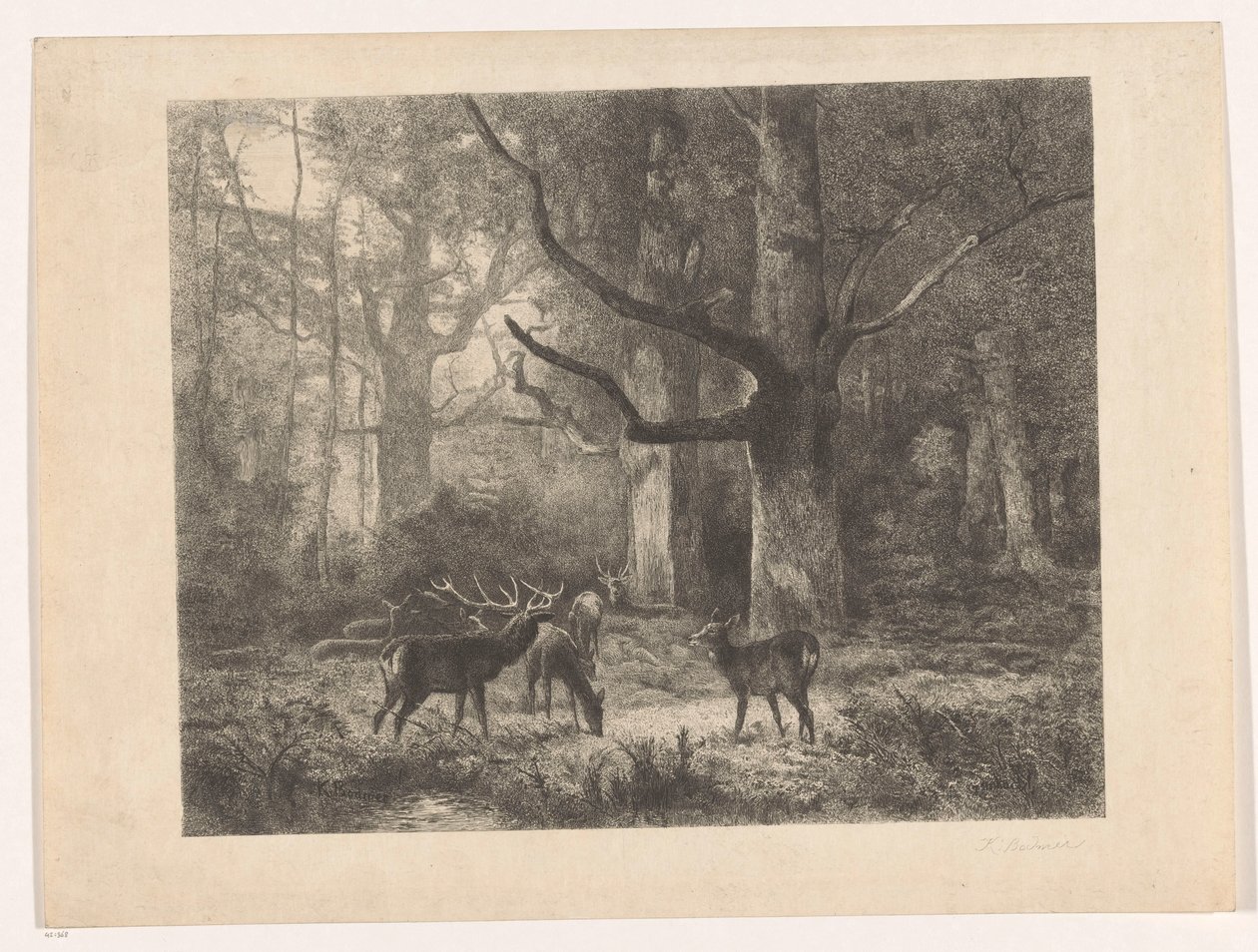 Cervi in un bosco da Karl Bodmer