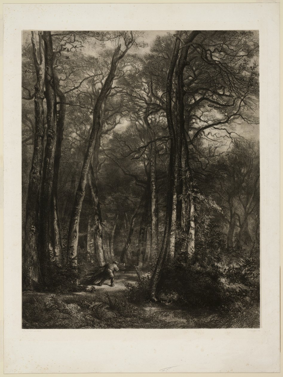 Nella foresta da Karl Bodmer