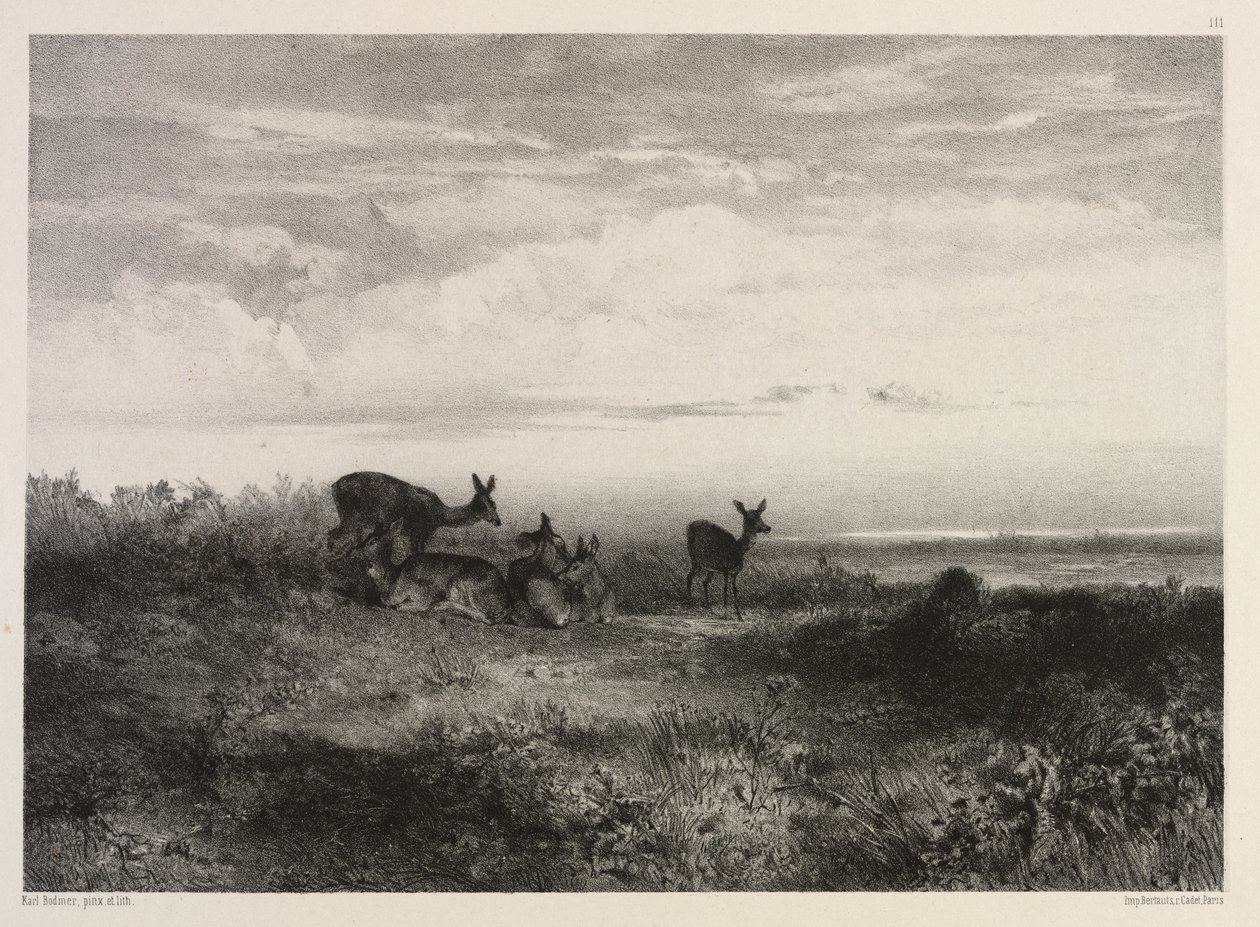 Paesaggio con cervi da Karl Bodmer