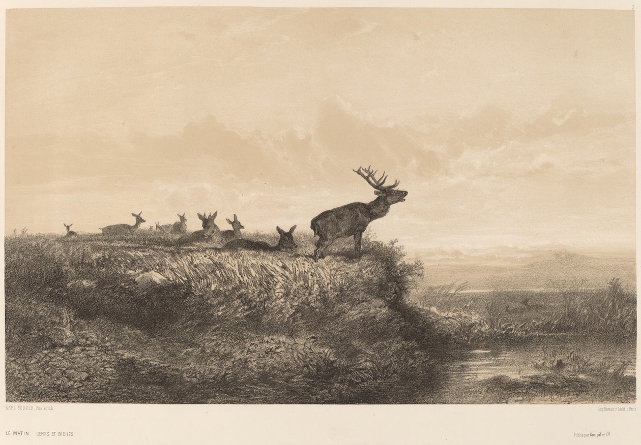 Il mattino da Karl Bodmer