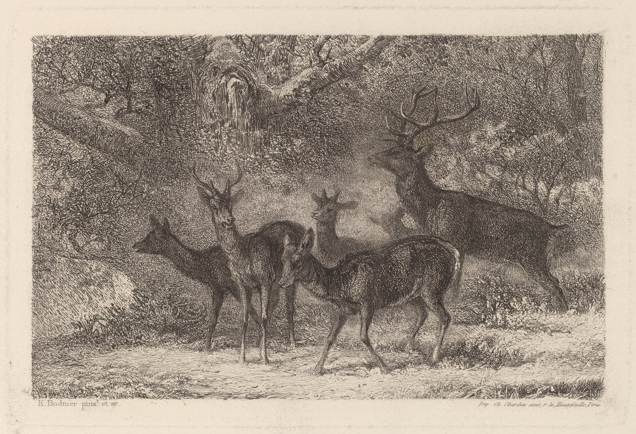 Le harde da Karl Bodmer