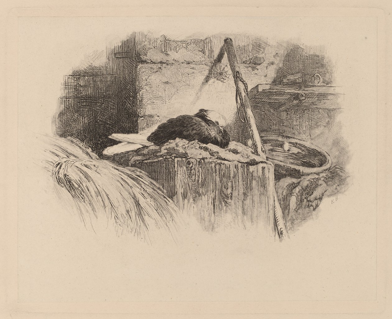 Piccione su un nido da Karl Bodmer