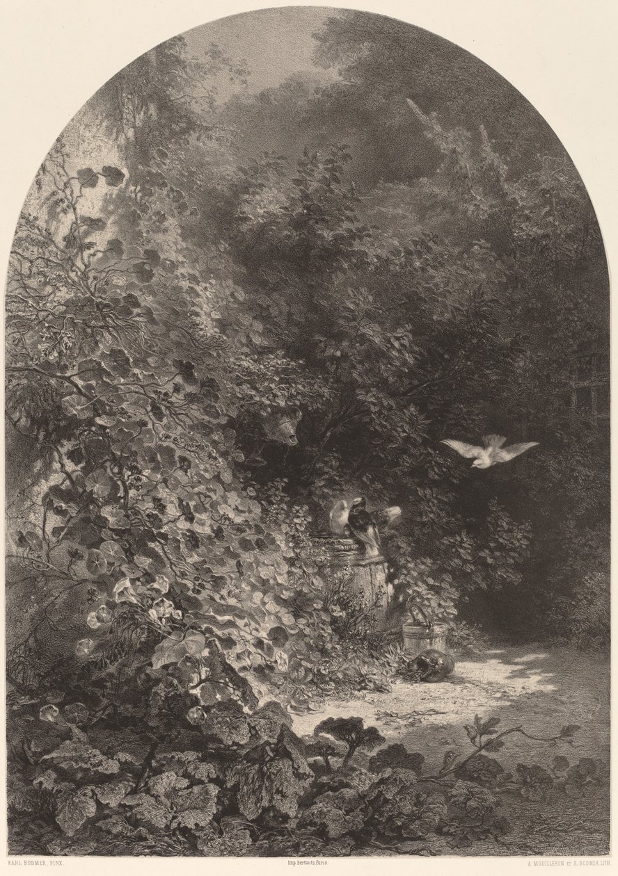 Un angolo di giardino da Karl Bodmer