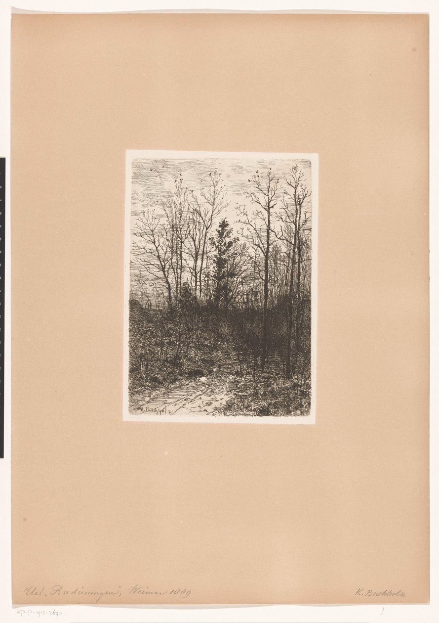 Paesaggio boschivo da Karl Buchholz