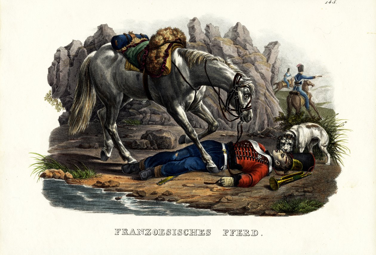 Cavallo francese, 1824 da Karl Joseph Brodtmann