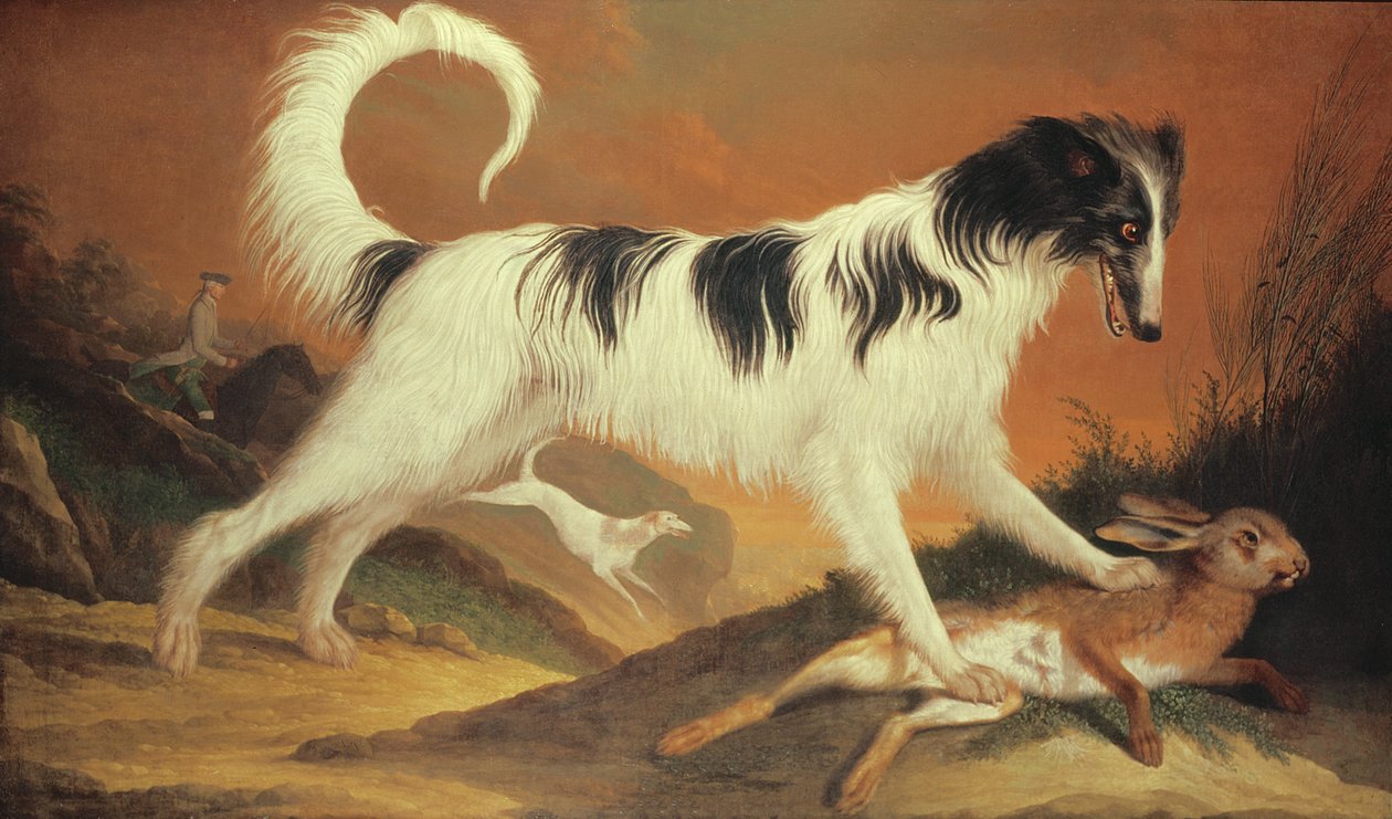 Cane e lepre da Karl Kaspar Pitz