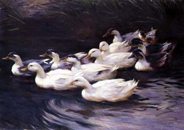 Anatre da Karl Lindner
