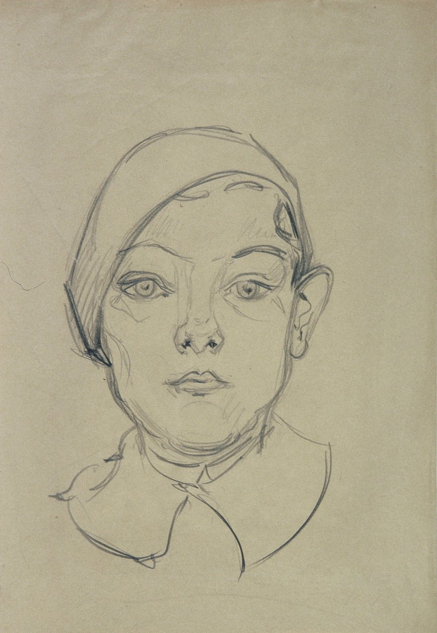 Ritratto di ragazzo da Karl Suschnik