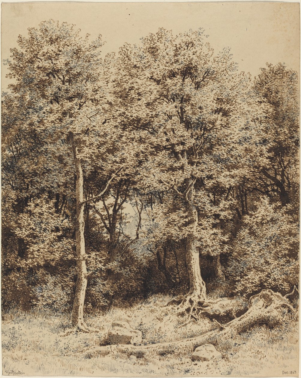 Boschetto di Alberi da Karl Theodor Reiffenstein