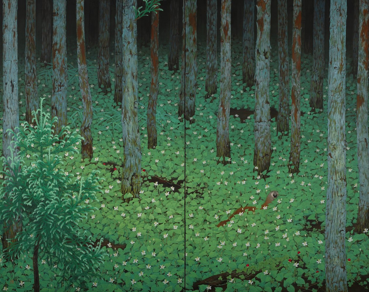 Foresta da Katayama Bokuyo