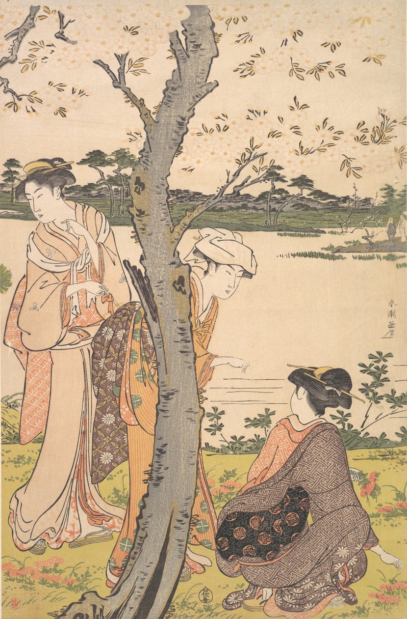 Raccolta di giovani fiori, fine XVIII secolo da Katsukawa Shuncho