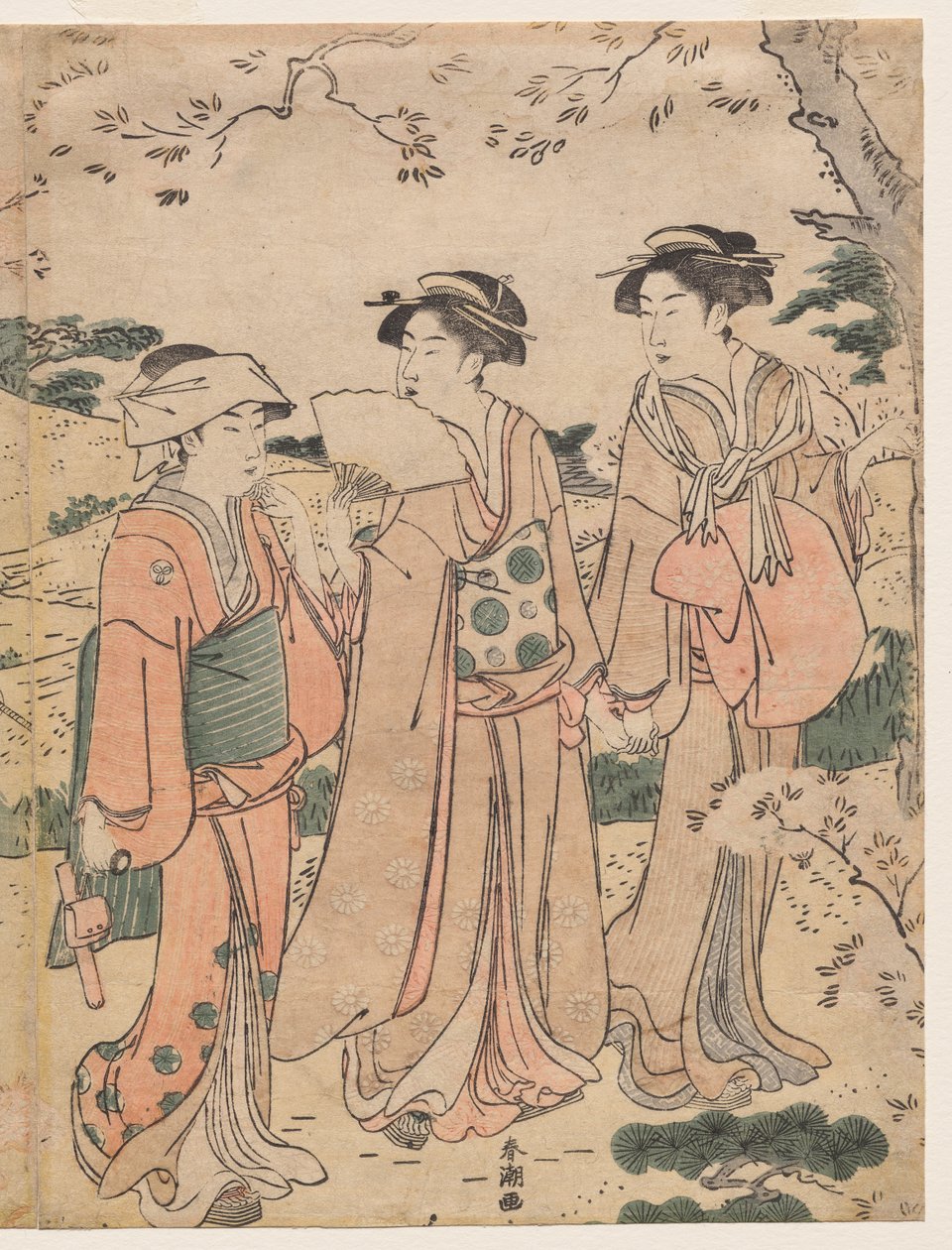 Donne che ammirano i fiori di ciliegio ad Asukayama da Katsukawa Shuncho