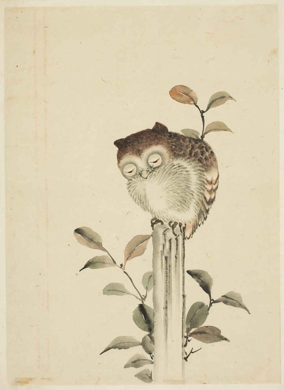 Gufo addormentato su un ceppo da Katsushika (school of) Hokusai