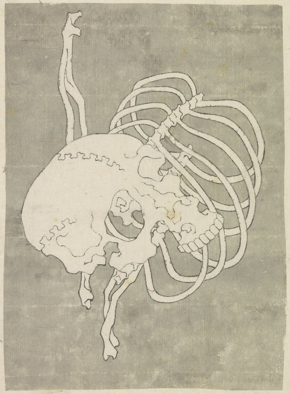 Teschio e una cassa toracica da Katsushika Hokusai (possibly)