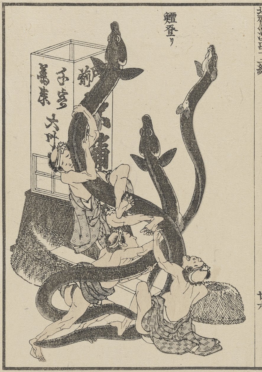 Grandi anguille da Katsushika Hokusai