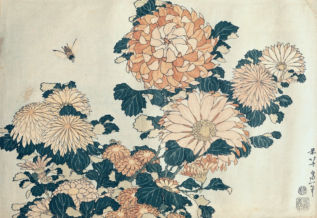 Crisantemi da Katsushika Hokusai
