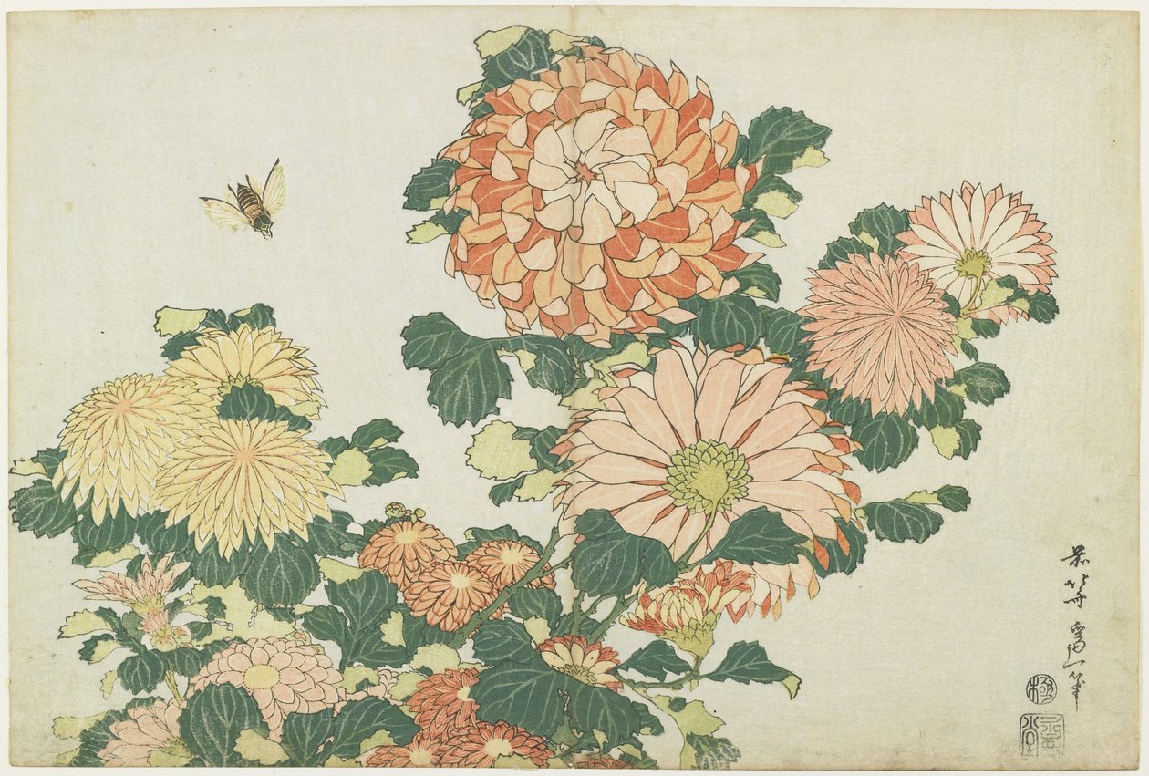 Crisantemi e tafano, c. 1832 da Katsushika Hokusai