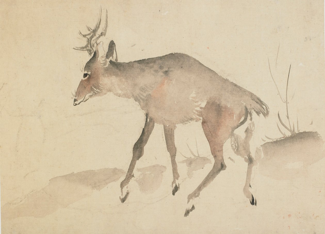 Cervo da Katsushika Hokusai