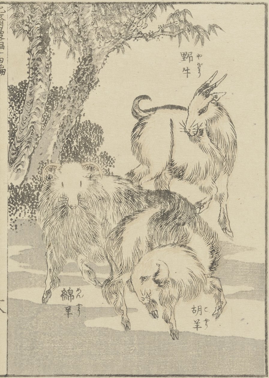 Capre, c. 1840 da Katsushika Hokusai