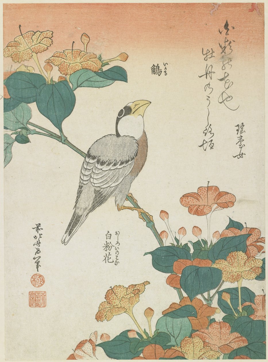 Grosbeak giapponese e Quattro-ore, c. 1833 da Katsushika Hokusai