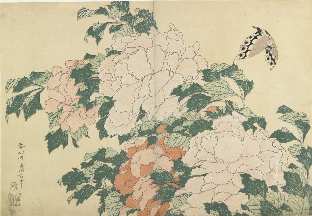 Peonie e farfalla, c. 1830-1831 da Katsushika Hokusai