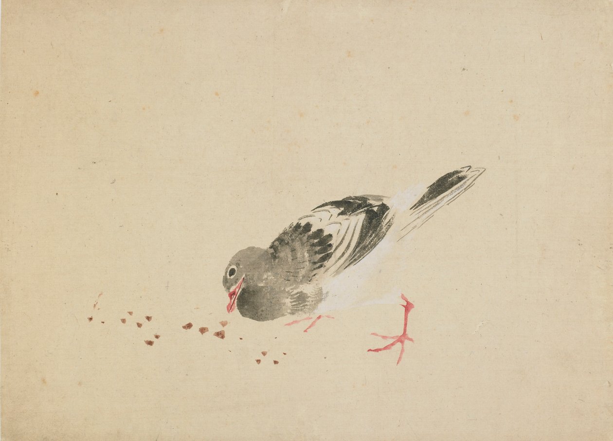 Piccione da Katsushika Hokusai