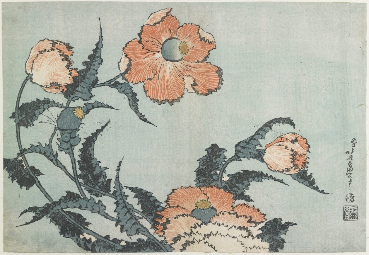 Papaveri, c. 1832 da Katsushika Hokusai