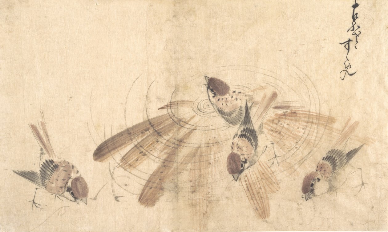 Passeri da Katsushika Hokusai
