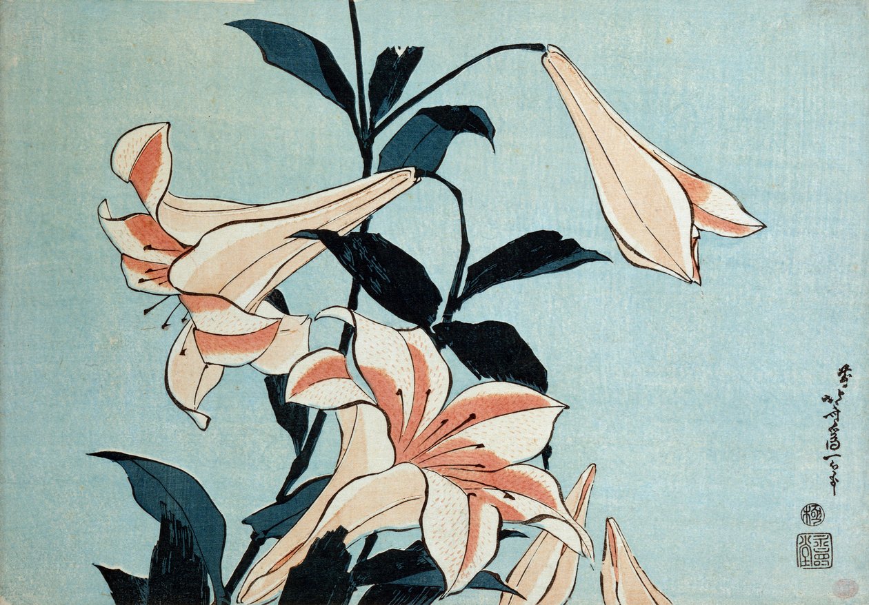 Gigli trombetta da Katsushika Hokusai