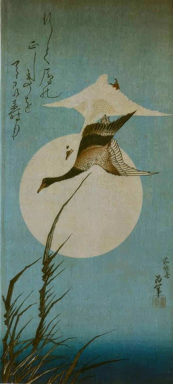 Due oche selvatiche da Katsushika Hokusai