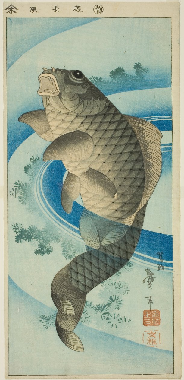 Carpa da Katsushika Taito II