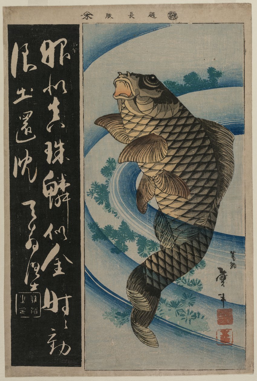 Carpe e alghe, c. primi anni 1830 da Katsushika Taito II