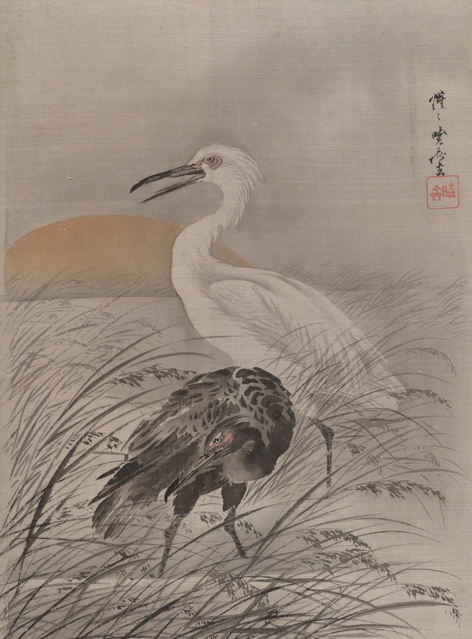 Gru nella palude da Kawanabe Kyosai