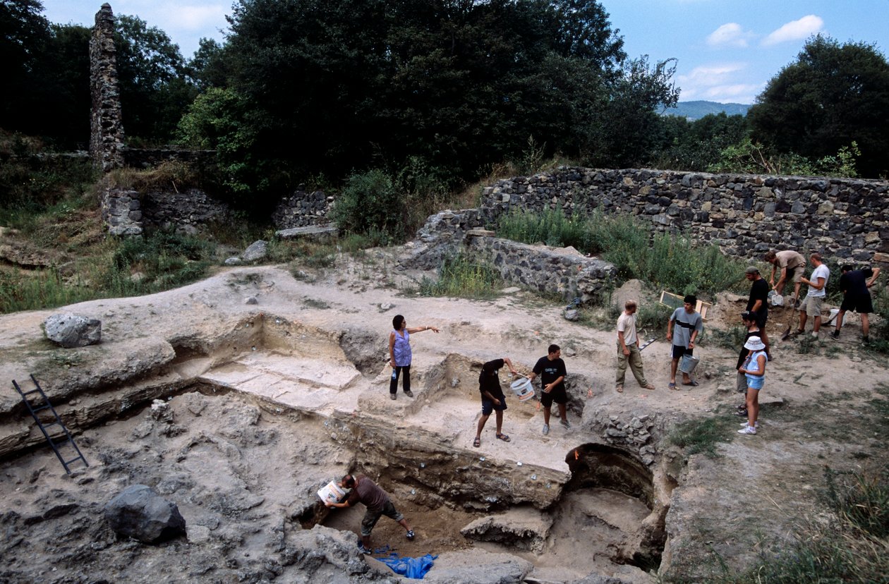 Sito di Homo Erectus a Dmanisi, Georgia da Kenneth Garrett