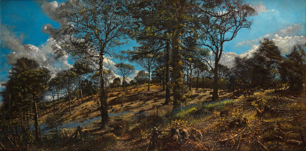 Bosco di Bigbury da Kenneth Newton