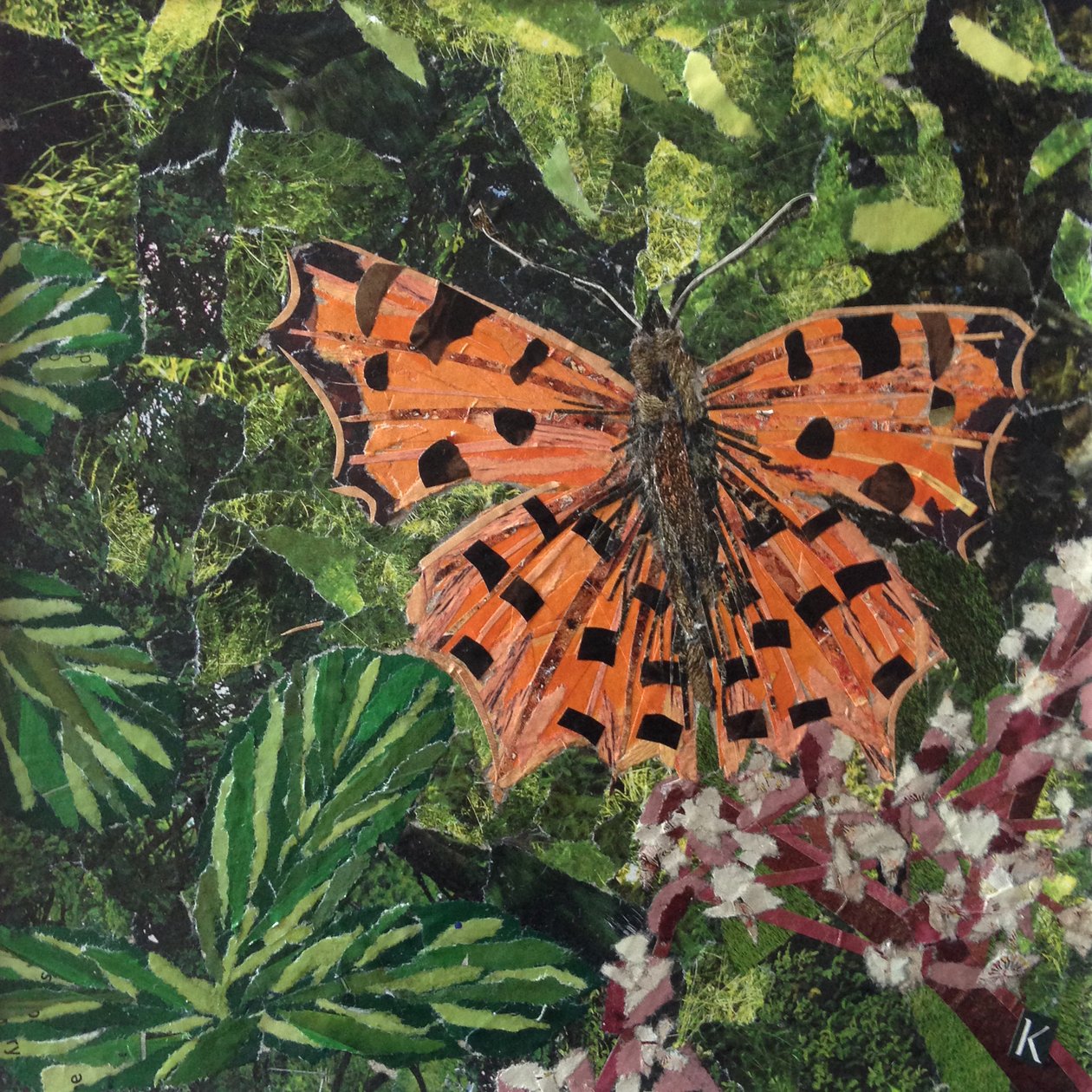 Farfalla su japonica da Kirstie Adamson