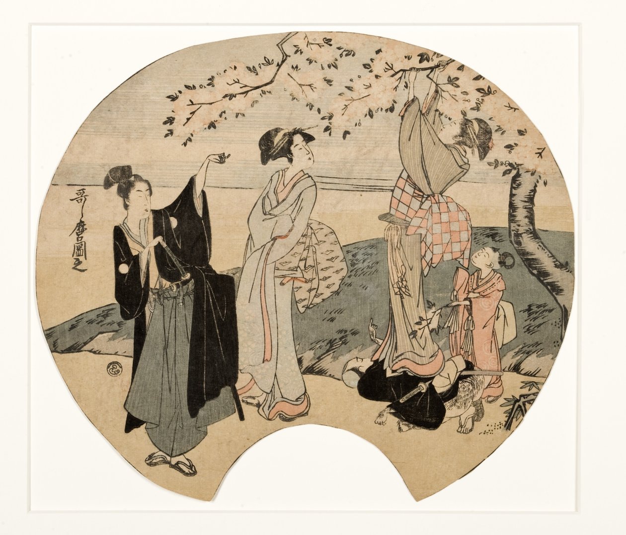 Ammirando i fiori di ciliegio, 1794-96 da Kitagawa Utamaro