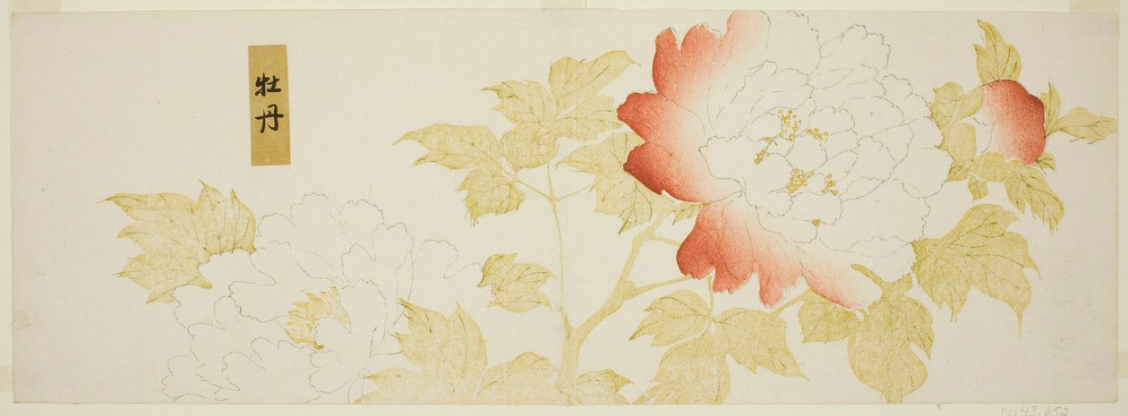Peonie da Kitagawa Utamaro