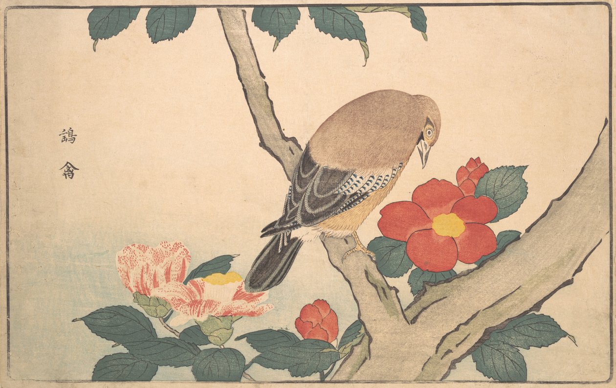Camelie con un uccello da Kitao Masayoshi