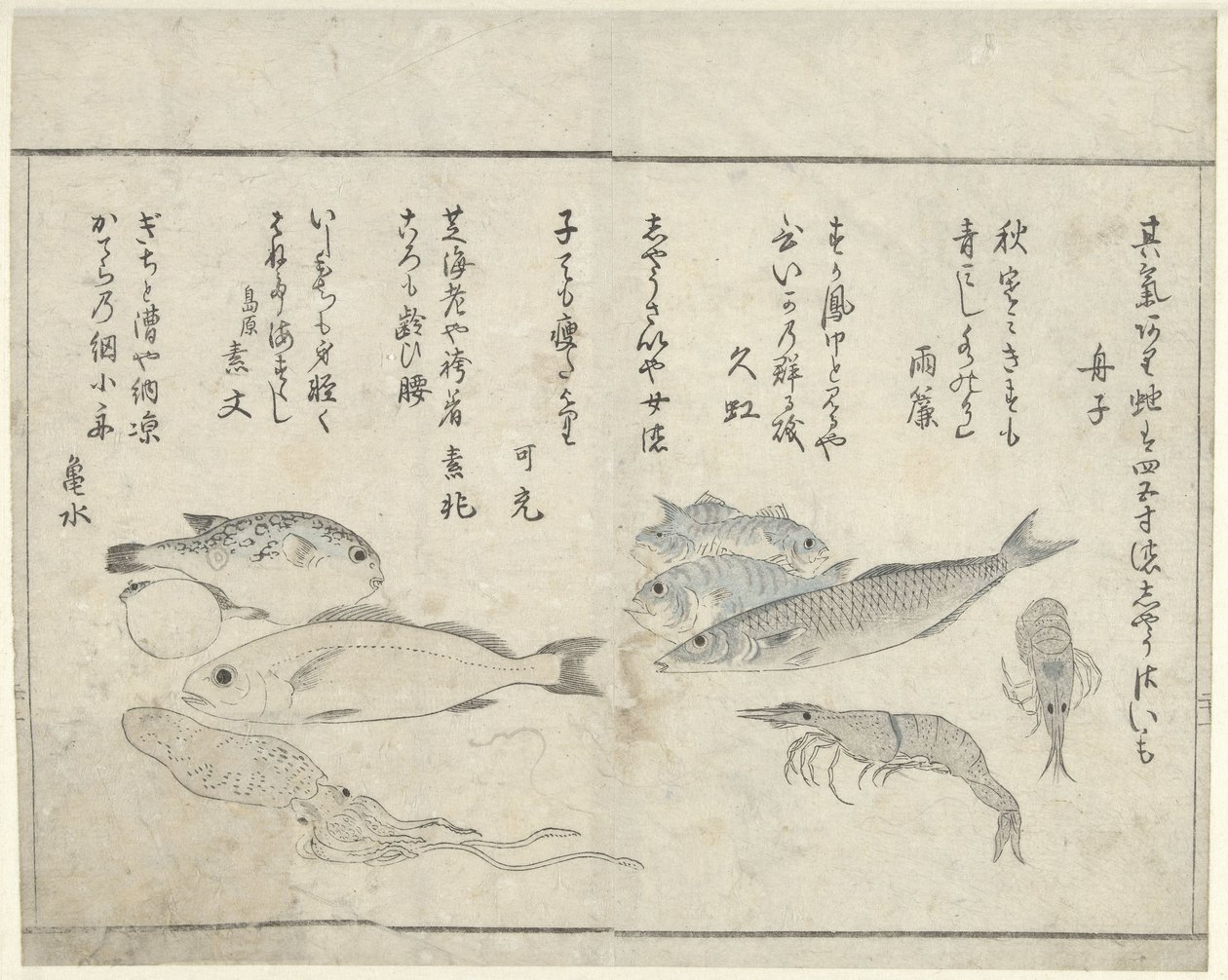 Animali marini da Kitao Masayoshi