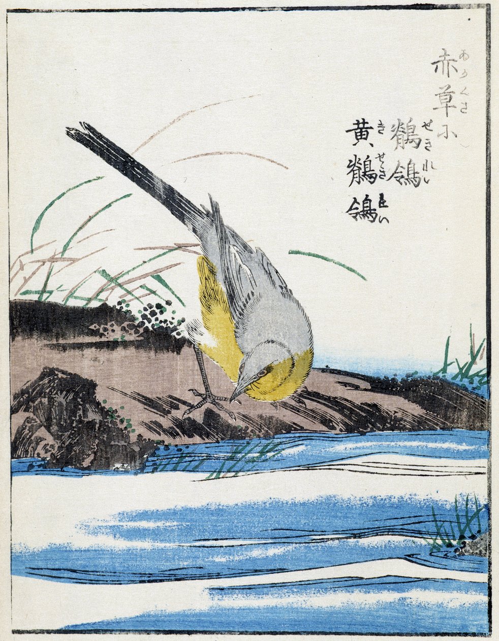 Uccello. Disegno giapponese di Kitao Kosuisai da Kitao Shigemasa