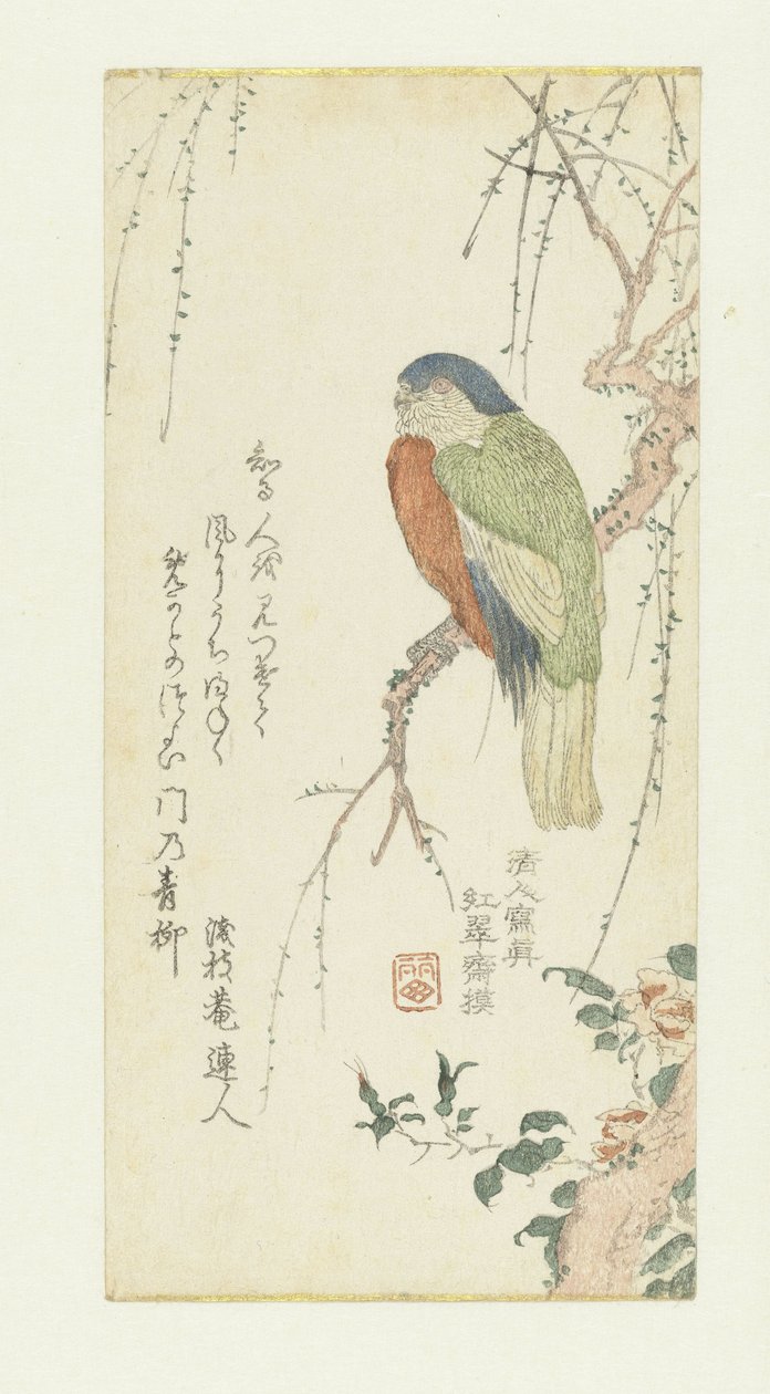 Pappagallo su un albero di prugne da Kitao Shigemasa