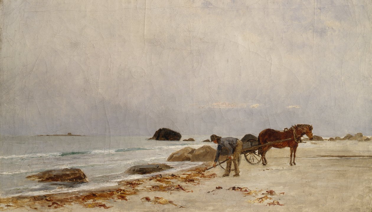 Guidare le alghe da Kitty Lange Kielland