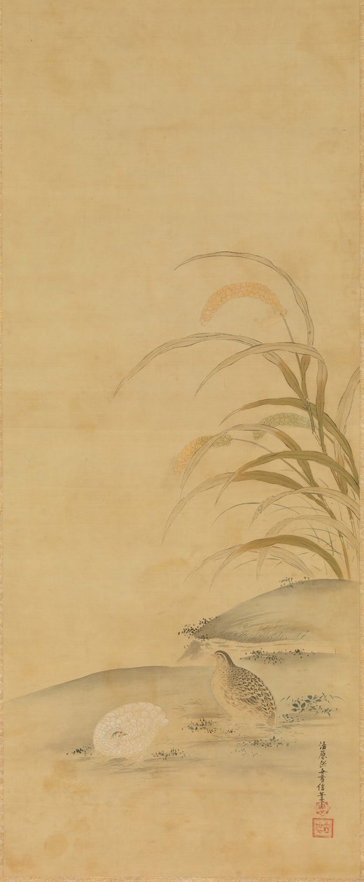 Quaglia e miglio da Kiyohara Yukinobu