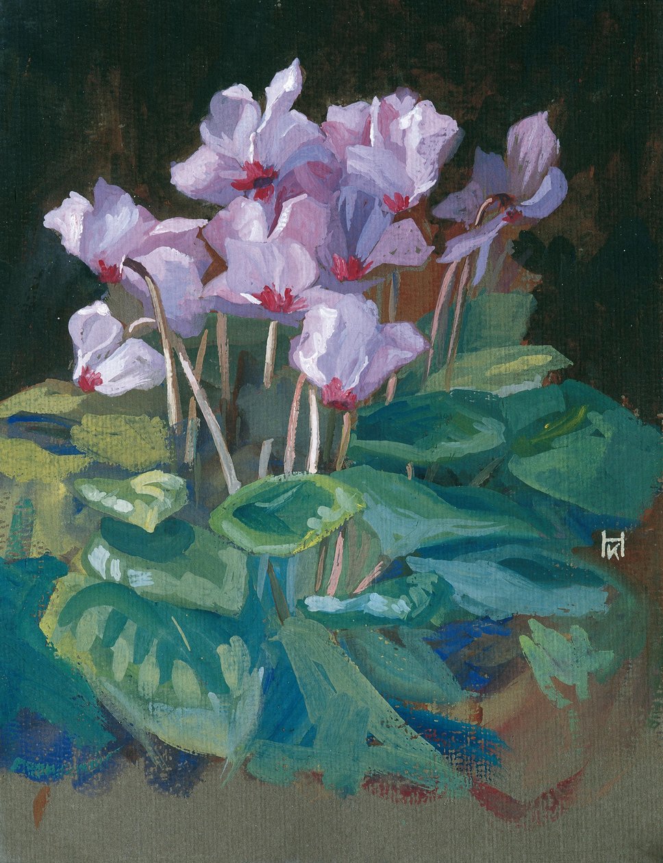 Ciclamino da Klara Hasslwander