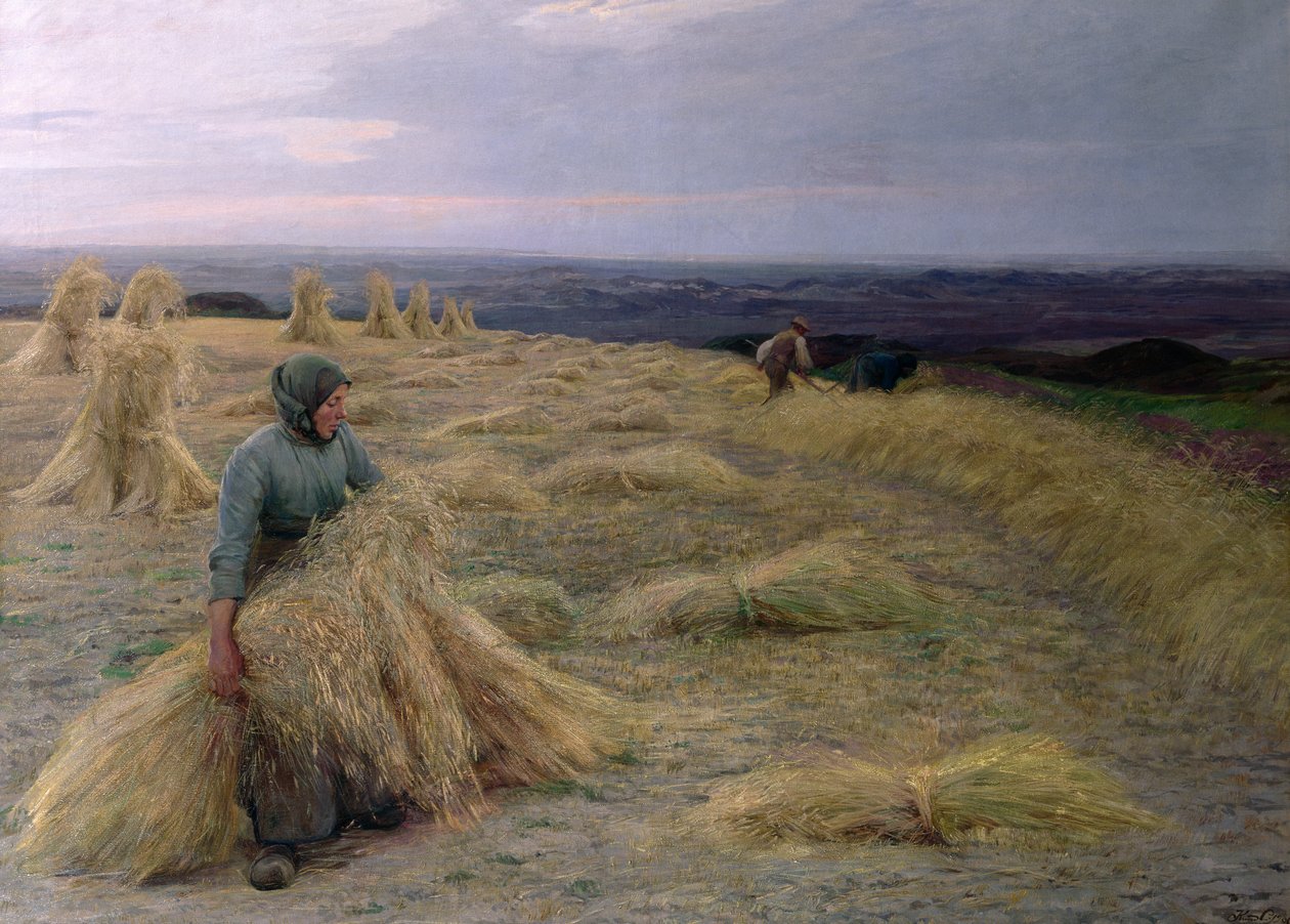 I mietitori, Svinklov-Viildemosen, Jutland da Knud Larsen