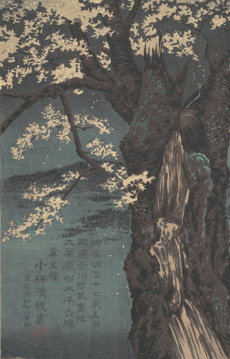 Albero di Ciliegio, datato 1874 da Kobayashi Kiyochika