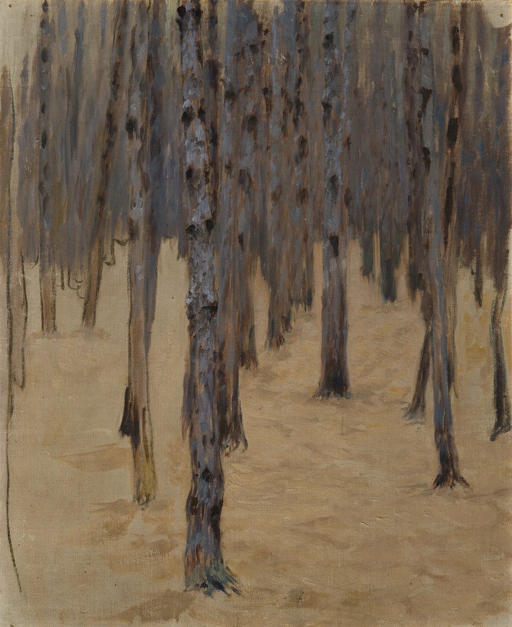 Foresta di conifere nella neve da Koloman Moser