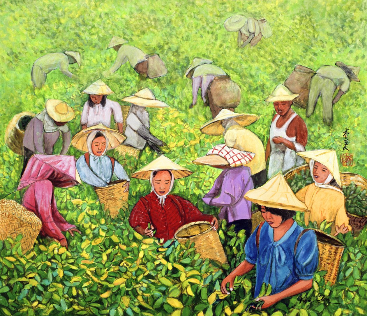 Raccoglitrice di Tè da Komi Chen